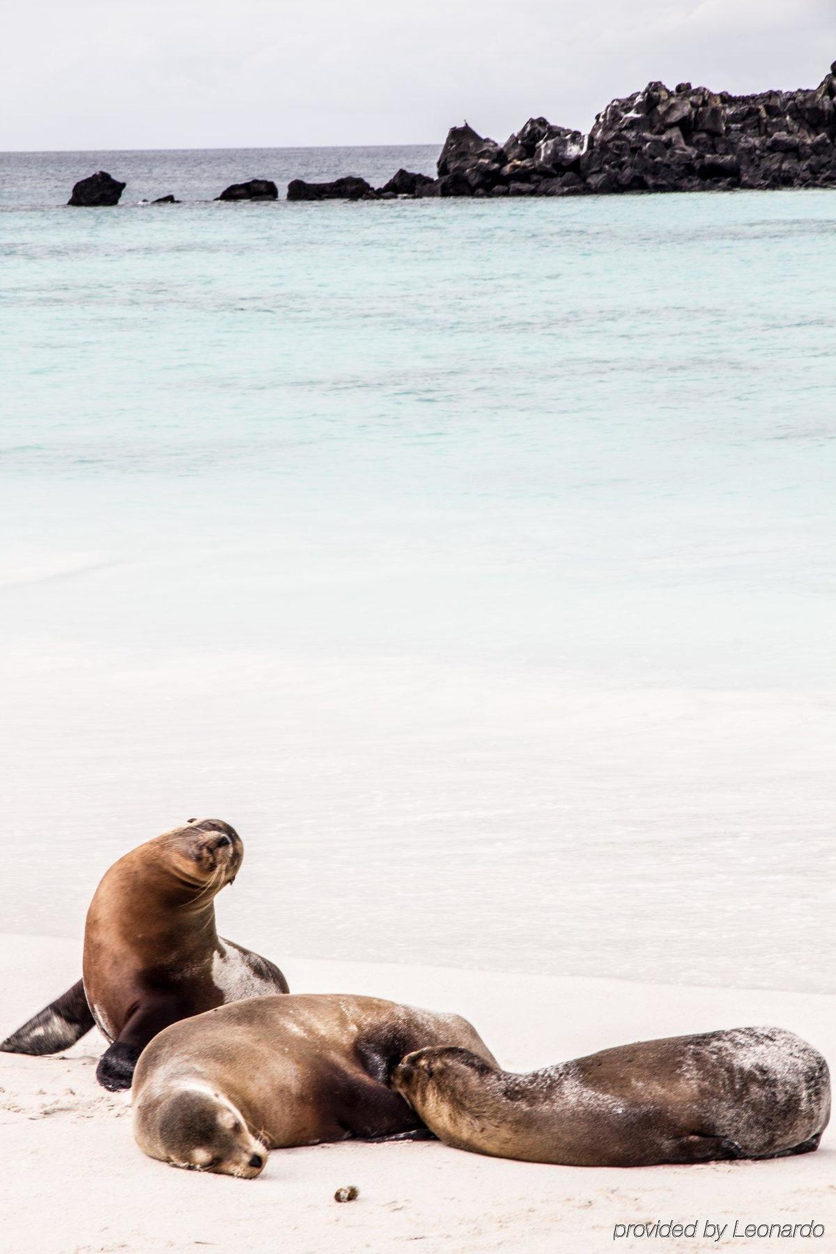 Finch Bay Galapagos Hotel Пуерто Айора Екстериор снимка