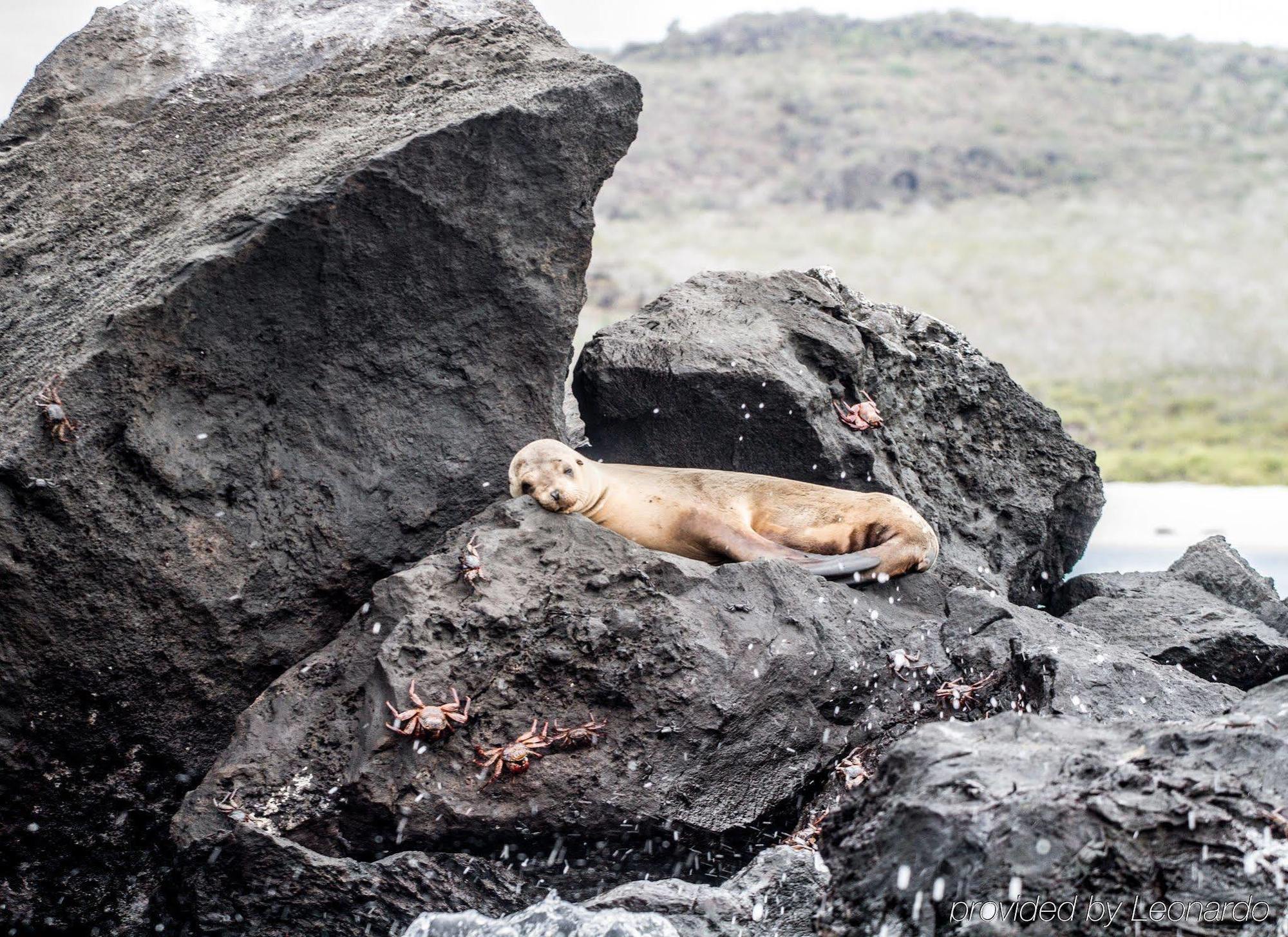 Finch Bay Galapagos Hotel Пуерто Айора Екстериор снимка