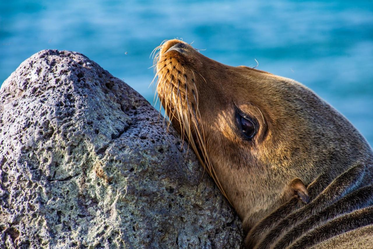 Finch Bay Galapagos Hotel Пуерто Айора Екстериор снимка